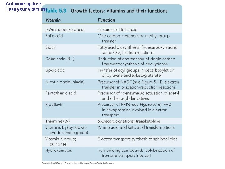 Cofactors galore: Take your vitamins! 