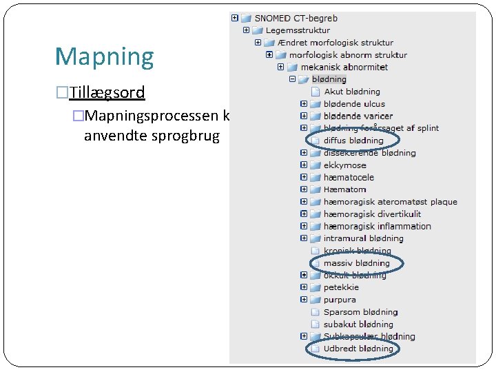 Mapning �Tillægsord �Mapningsprocessen kan medføre en ændring af det i dag anvendte sprogbrug 