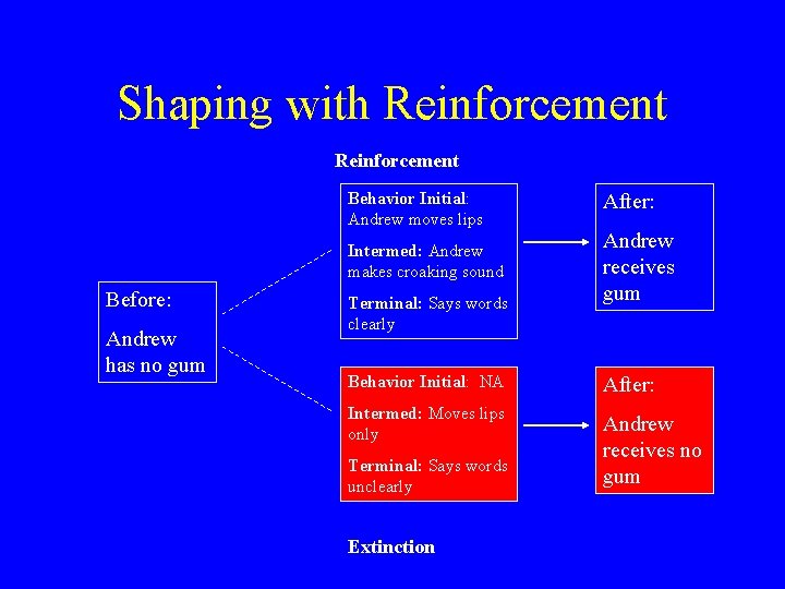 Shaping with Reinforcement Behavior Initial: Andrew moves lips Intermed: Andrew makes croaking sound Before: