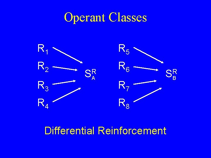 Operant Classes R 1 R 5 R 2 R 6 R 3 R 4