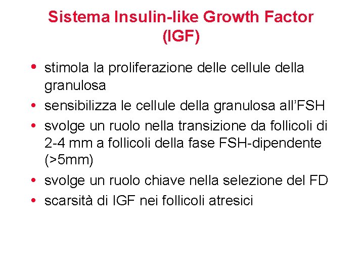 Sistema Insulin-like Growth Factor (IGF) • stimola la proliferazione delle cellule della • •