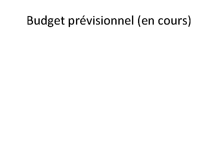 Budget prévisionnel (en cours) 