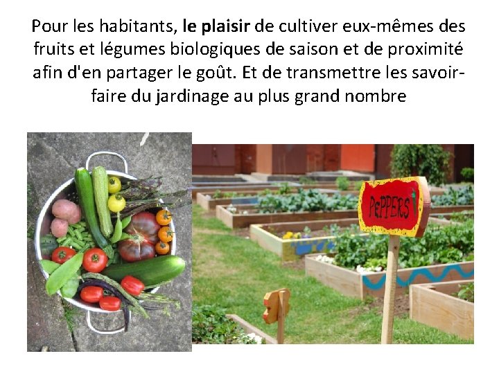 Pour les habitants, le plaisir de cultiver eux-mêmes des fruits et légumes biologiques de