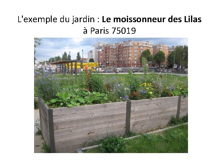 L'exemple du jardin : Le moissonneur des Lilas à Paris 75019 