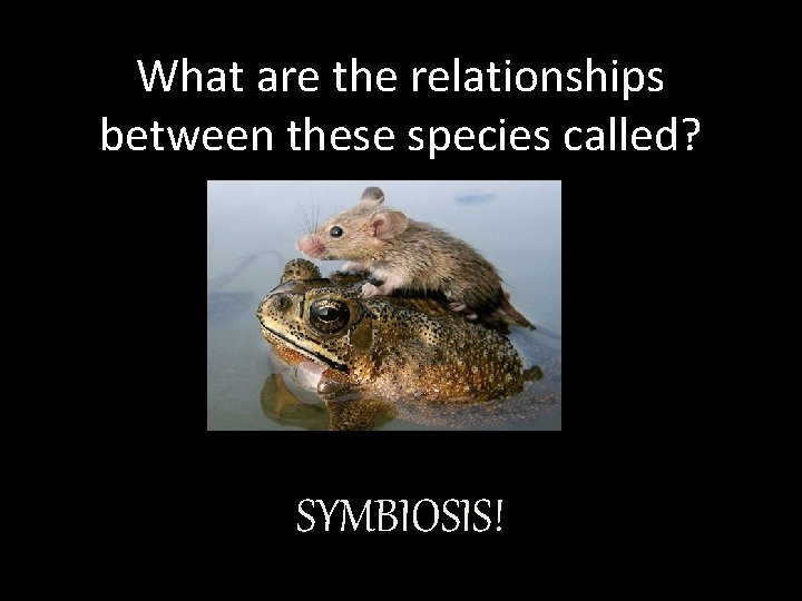 What are the relationships between these species called? SYMBIOSIS! 