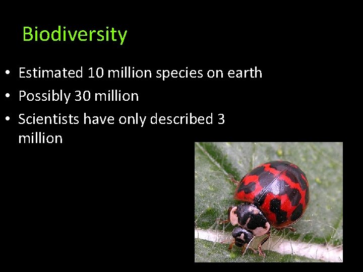 Biodiversity • Estimated 10 million species on earth • Possibly 30 million • Scientists