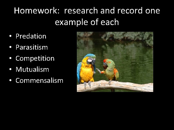 Homework: research and record one example of each • • • Predation Parasitism Competition