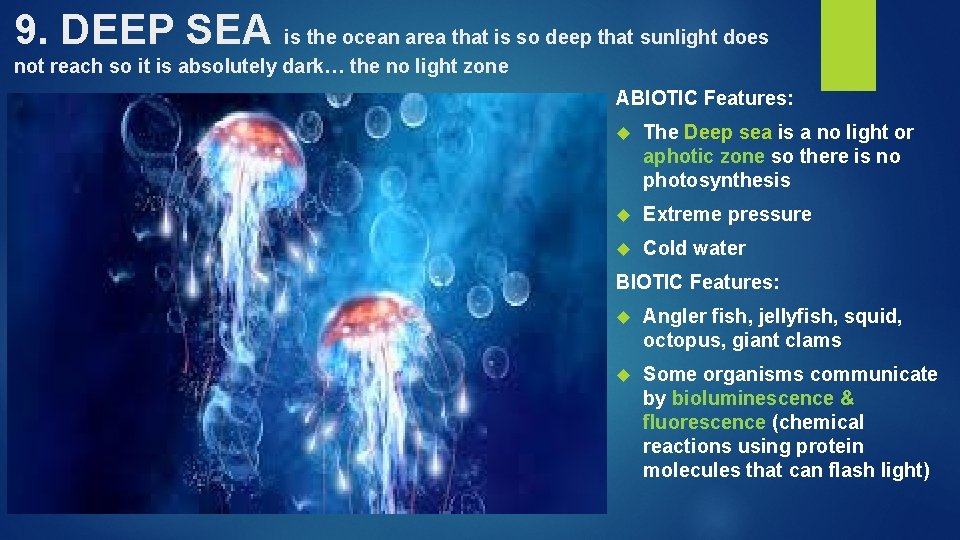 9. DEEP SEA is the ocean area that is so deep that sunlight does