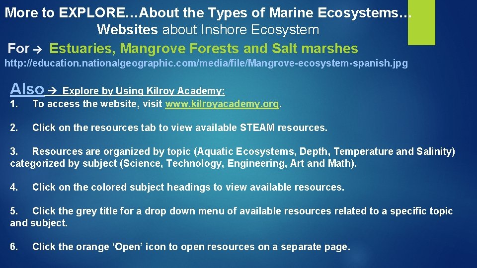 More to EXPLORE…About the Types of Marine Ecosystems… Websites about Inshore Ecosystem For Estuaries,