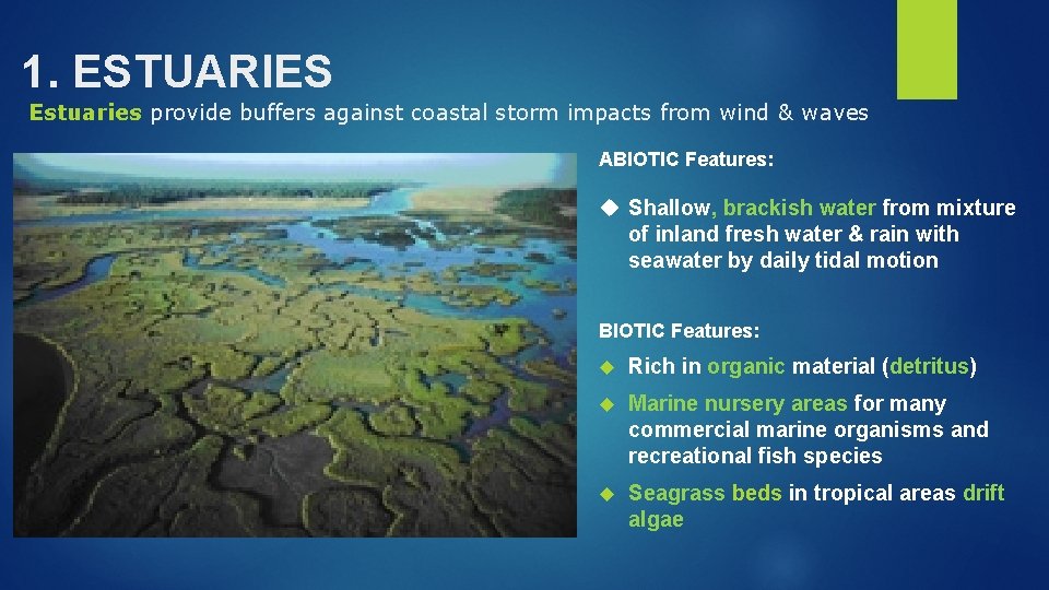 1. ESTUARIES Estuaries provide buffers against coastal storm impacts from wind & waves ABIOTIC
