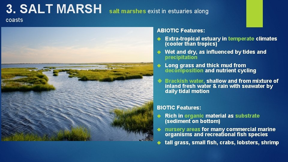 3. SALT MARSH salt marshes exist in estuaries along coasts ABIOTIC Features: Add pictures