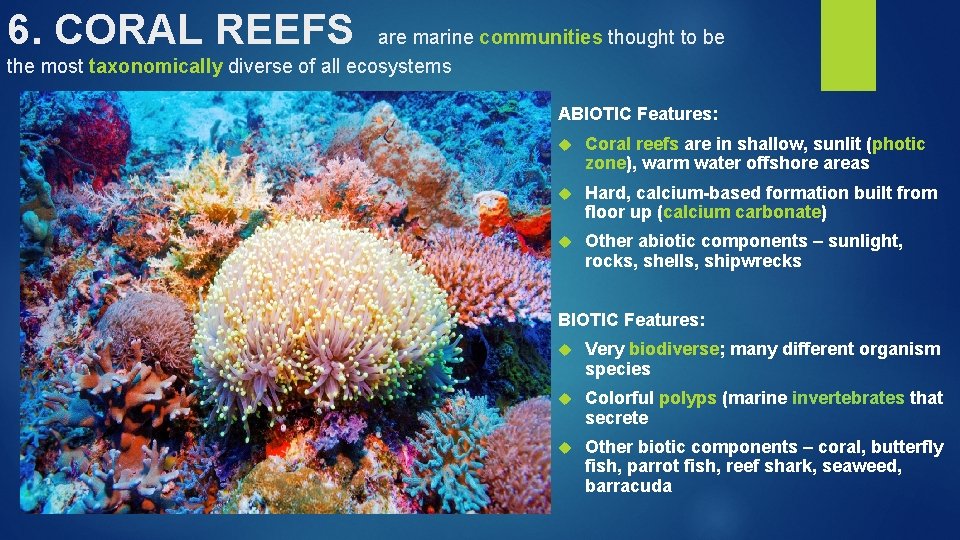 6. CORAL REEFS are marine communities thought to be the most taxonomically diverse of