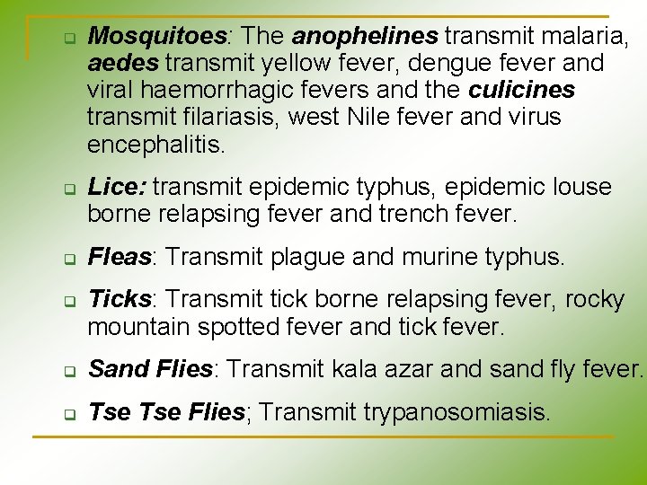 q q Mosquitoes: The anophelines transmit malaria, aedes transmit yellow fever, dengue fever and q q Mosquitoes: The anophelines transmit malaria, aedes transmit yellow fever, dengue fever and