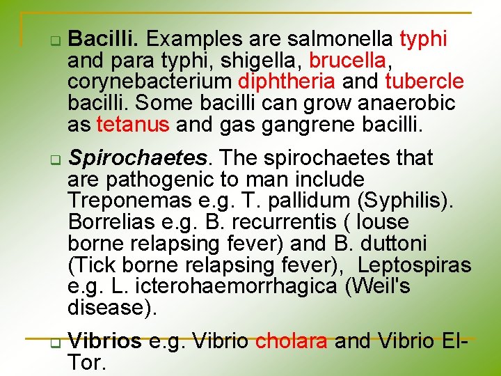 q Bacilli. Examples are salmonella typhi and para typhi, shigella, brucella, corynebacterium diphtheria and q Bacilli. Examples are salmonella typhi and para typhi, shigella, brucella, corynebacterium diphtheria and