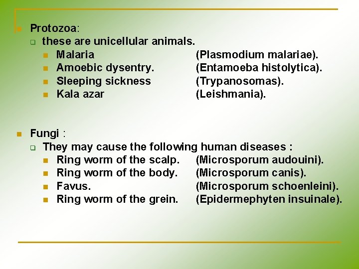 n Protozoa: q these are unicellular animals. n Malaria (Plasmodium malariae). n Amoebic dysentry. n Protozoa: q these are unicellular animals. n Malaria (Plasmodium malariae). n Amoebic dysentry.