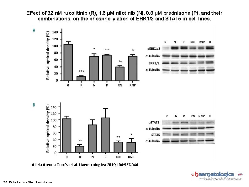 Effect of 32 n. M ruxolitinib (R), 1. 6 μM nilotinib (N), 0. 8