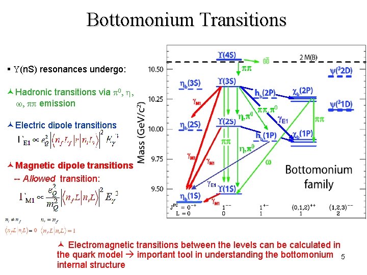 Bottomonium Transitions § U(n. S) resonances undergo: ©Hadronic transitions via p 0, h, w,