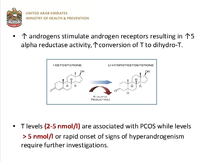  • ↑ androgens stimulate androgen receptors resulting in ↑ 5 alpha reductase activity,