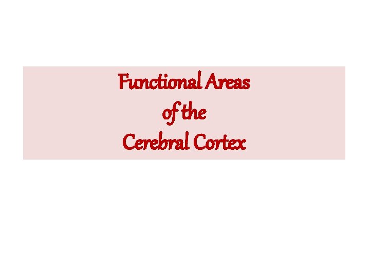 Functional Areas of the Cerebral Cortex 