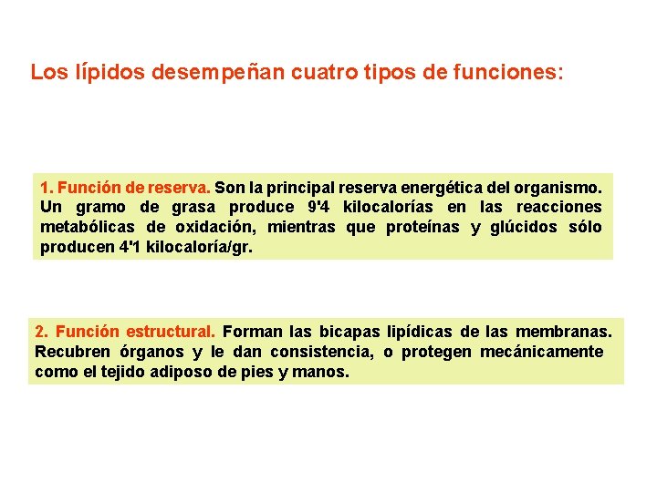 Los lípidos desempeñan cuatro tipos de funciones: 1. Función de reserva. Son la principal