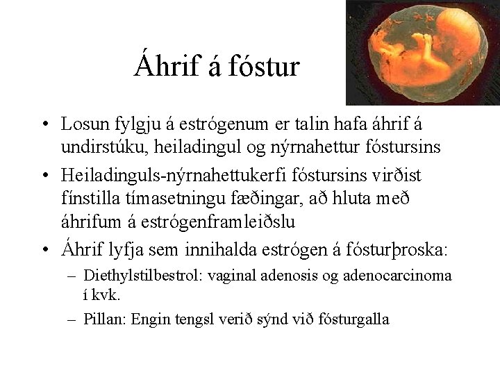 Áhrif á fóstur • Losun fylgju á estrógenum er talin hafa áhrif á undirstúku,