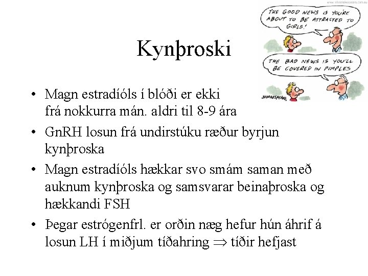 Kynþroski • Magn estradíóls í blóði er ekki mælanlegt frá nokkurra mán. aldri til