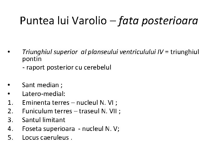 Puntea lui Varolio – fata posterioara • Triunghiul superior al planseului ventriculului IV =