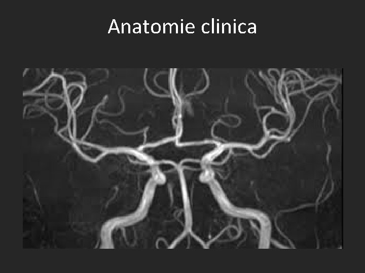 Anatomie clinica 