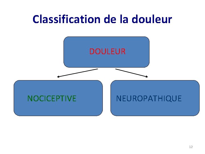 Classification de la douleur DOULEUR NOCICEPTIVE NEUROPATHIQUE 12 