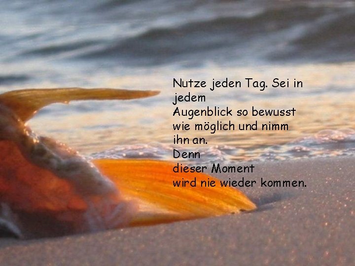 Nutze jeden Tag. Sei in jedem Augenblick so bewusst wie möglich und nimm ihn