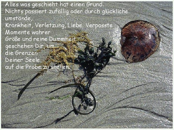 Alles was geschieht hat einen Grund. Nichts passiert zufällig oder durch glückliche umstände, Krankheit,