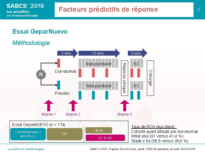 Facteurs prédictifs de réponse 37 Essai Gepar. Nuevo Méthodologie 2 sem. 8 sem. Nab-paclitaxel