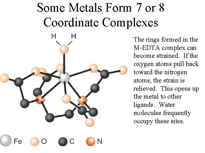 Some Metals Form 7 or 8 Coordinate Complexes The rings formed in the M-EDTA