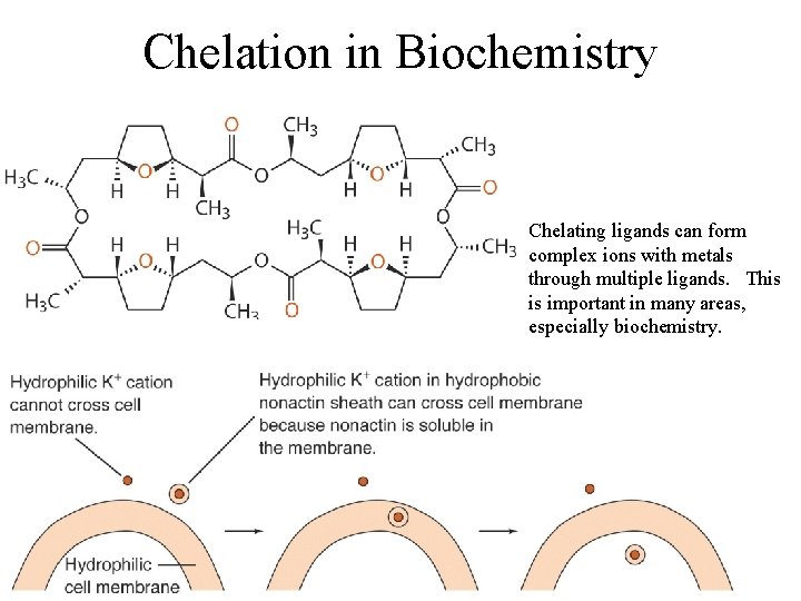 Chelation in Biochemistry Chelating ligands can form complex ions with metals through multiple ligands.