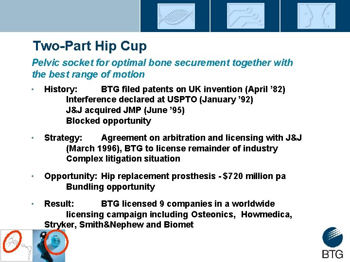Two-Part Hip Cup Pelvic socket for optimal bone securement together with the best range