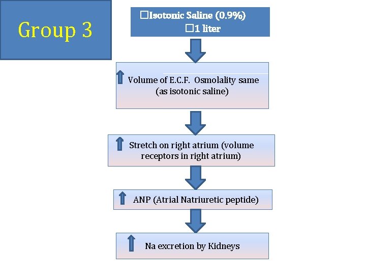 Group 3 �Isotonic Saline (0. 9%) � 1 liter Volume of E. C. F.