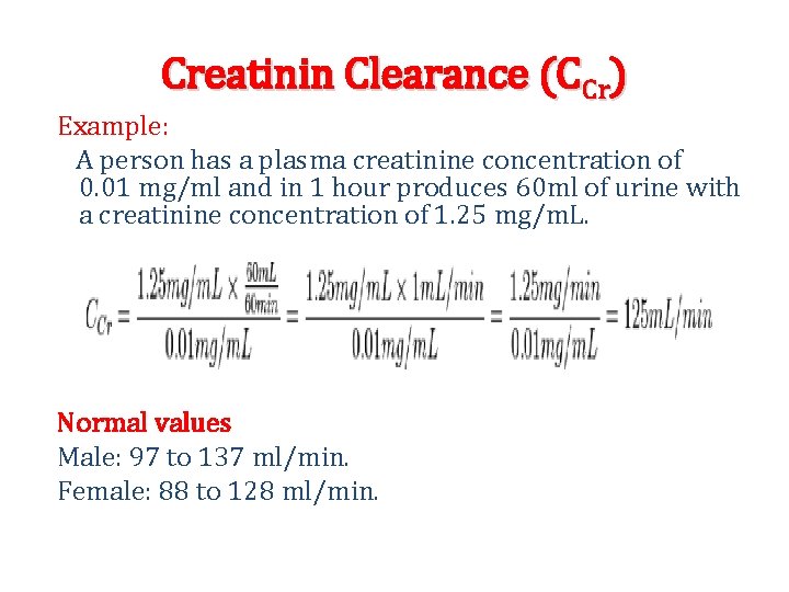 Creatinin Clearance (CCr) Example: A person has a plasma creatinine concentration of 0. 01 Creatinin Clearance (CCr) Example: A person has a plasma creatinine concentration of 0. 01