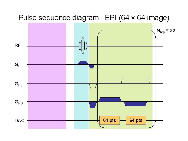 Pulse sequence diagram: EPI (64 x 64 image) Nrep = 32 RF GSS GPE
