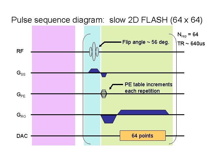 Pulse sequence diagram: slow 2 D FLASH (64 x 64) Nrep = 64 Flip