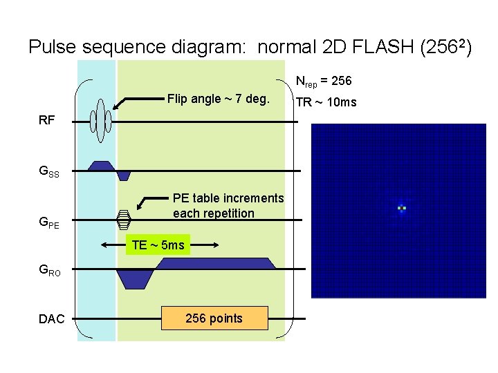Pulse sequence diagram: normal 2 D FLASH (2562) Nrep = 256 Flip angle ~