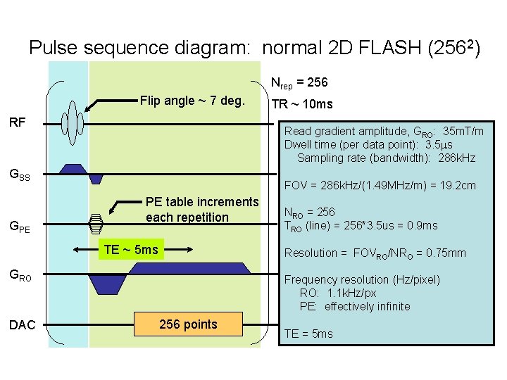 Pulse sequence diagram: normal 2 D FLASH (2562) Nrep = 256 Flip angle ~