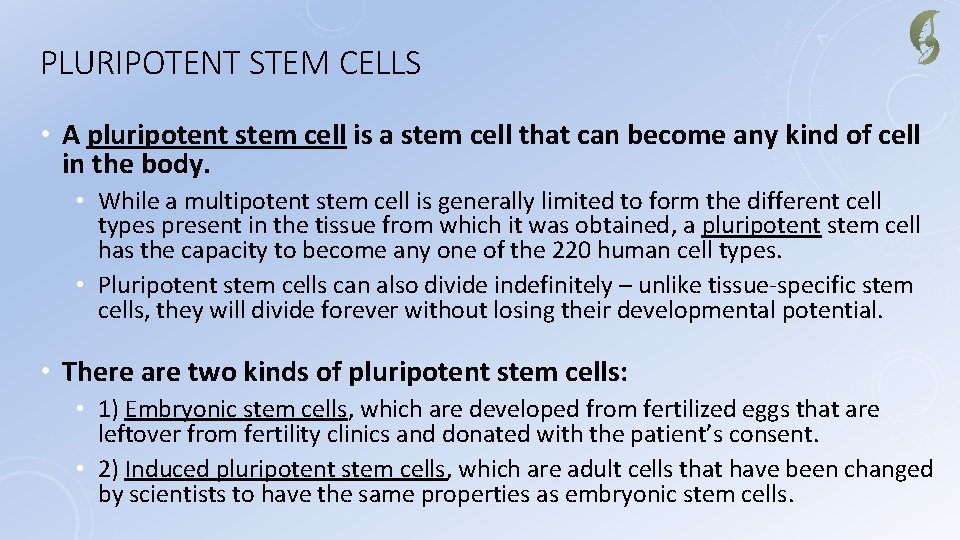 PLURIPOTENT STEM CELLS • A pluripotent stem cell is a stem cell that can