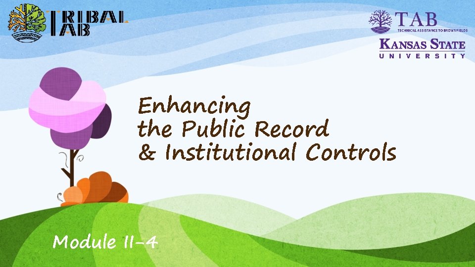 Enhancing the Public Record & Institutional Controls Module II-4 