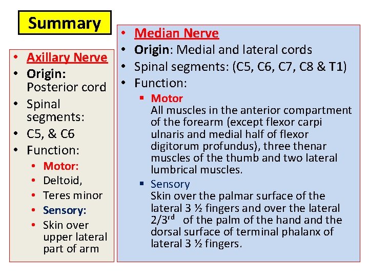 Summary • • • Axillary Nerve • • Origin: Posterior cord • • Spinal