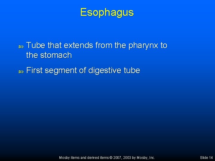 Esophagus Tube that extends from the pharynx to the stomach First segment of digestive
