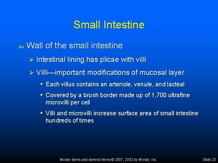 Small Intestine Wall of the small intestine Ø Intestinal lining has plicae with villi