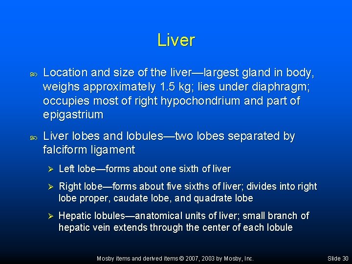 Liver Location and size of the liver—largest gland in body, weighs approximately 1. 5