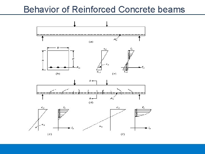Behavior of Reinforced Concrete beams 