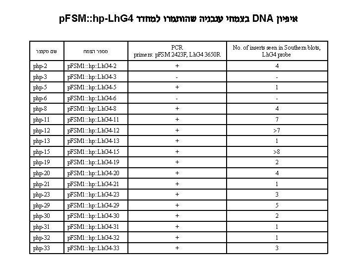 p. FSM: : hp-Lh. G 4 בצמחי עגבניה שהותמרו למחדר DNA איפיון שם מקוצר