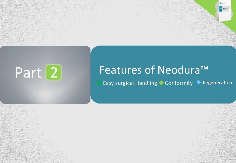 Part 2 Features of Neodura™ u Easy surgical Handling u Conformity u Regeneration www.